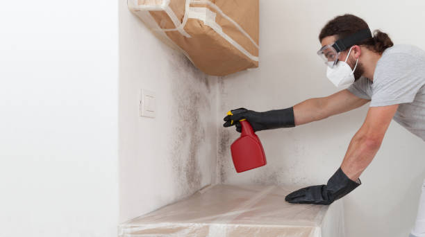 Professional Bathroom Mold Removal technician working in Sayreville, NJ