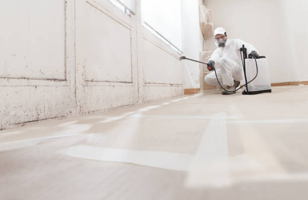 24/7 Emergency Bathroom Mold Removal experts in Sayreville, NJ